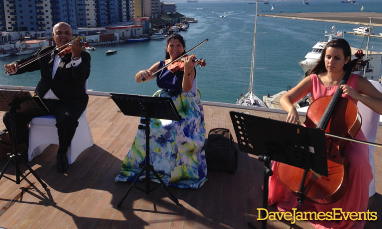 Musibodas Classical Musicians