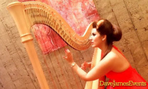 Costa Del Sol Harpist
